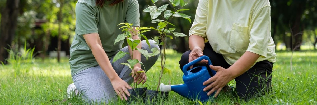 Doğaya Saygılı Yaşamın Anahtarı Çevre Dostu Temizlik Alışkanlıkları
