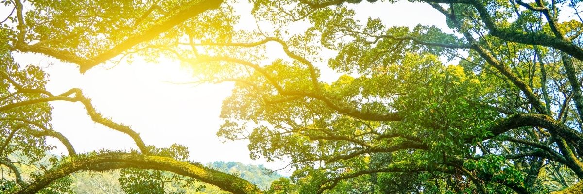 Sürdürülebilir Paspas Seçimi Çevre Bilinci